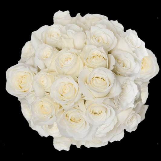 100 Pure White Roses for Bridal Bouquets Sugar Doll Roses by GlobalRose CCC9_H3UPT51