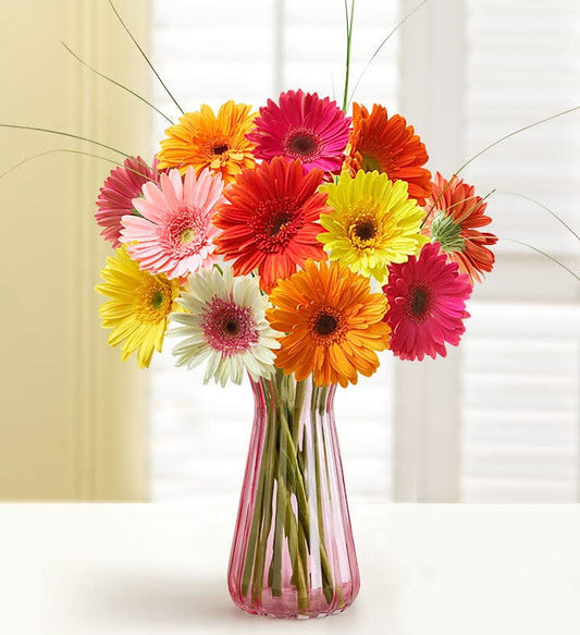 1-800-Flowers Happy Gerbera Daisies HPN5_S5UMU33